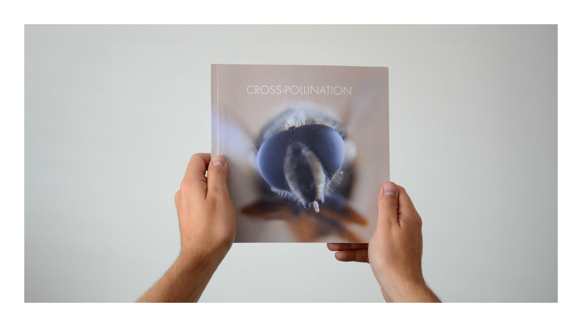 Collage of different visual branding componenets for the Flow Project