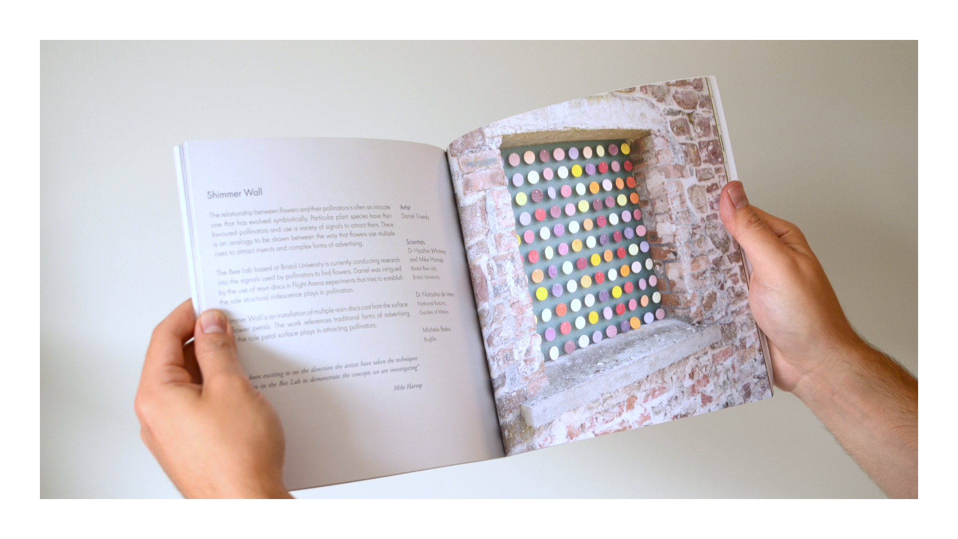 Collage of different visual branding componenets for the Flow Project