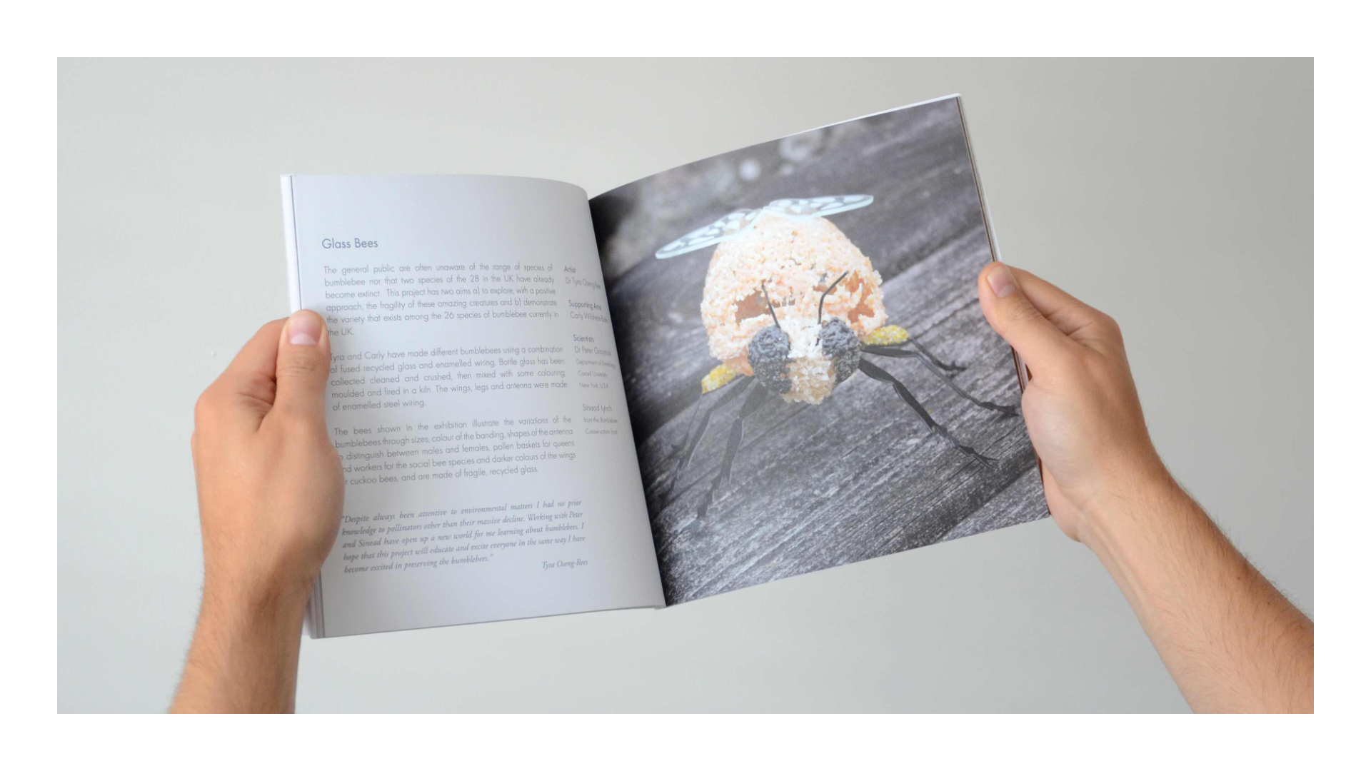 Collage of different visual branding componenets for the Flow Project