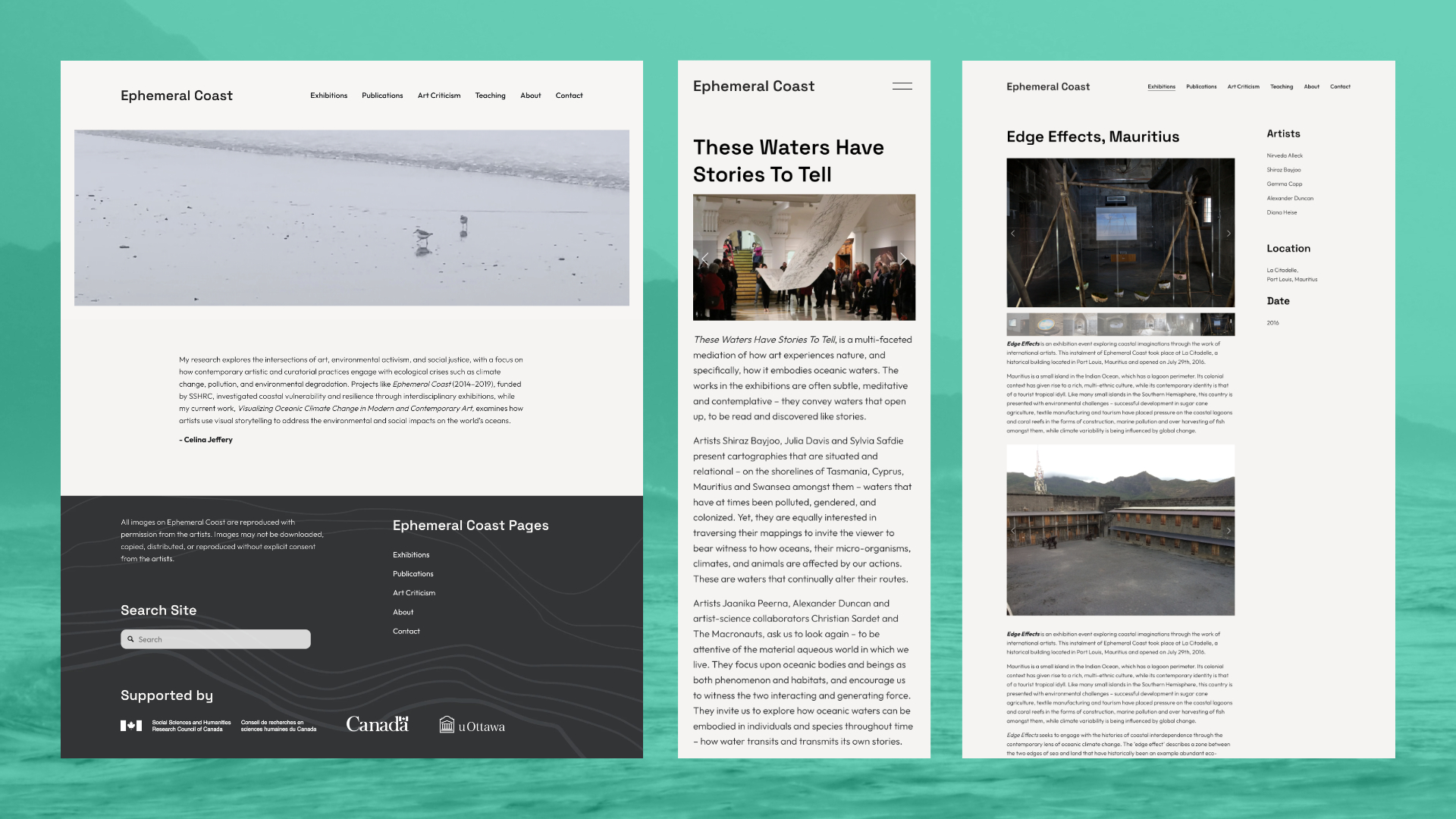 Collage of different visual branding componenets for the Flow Project