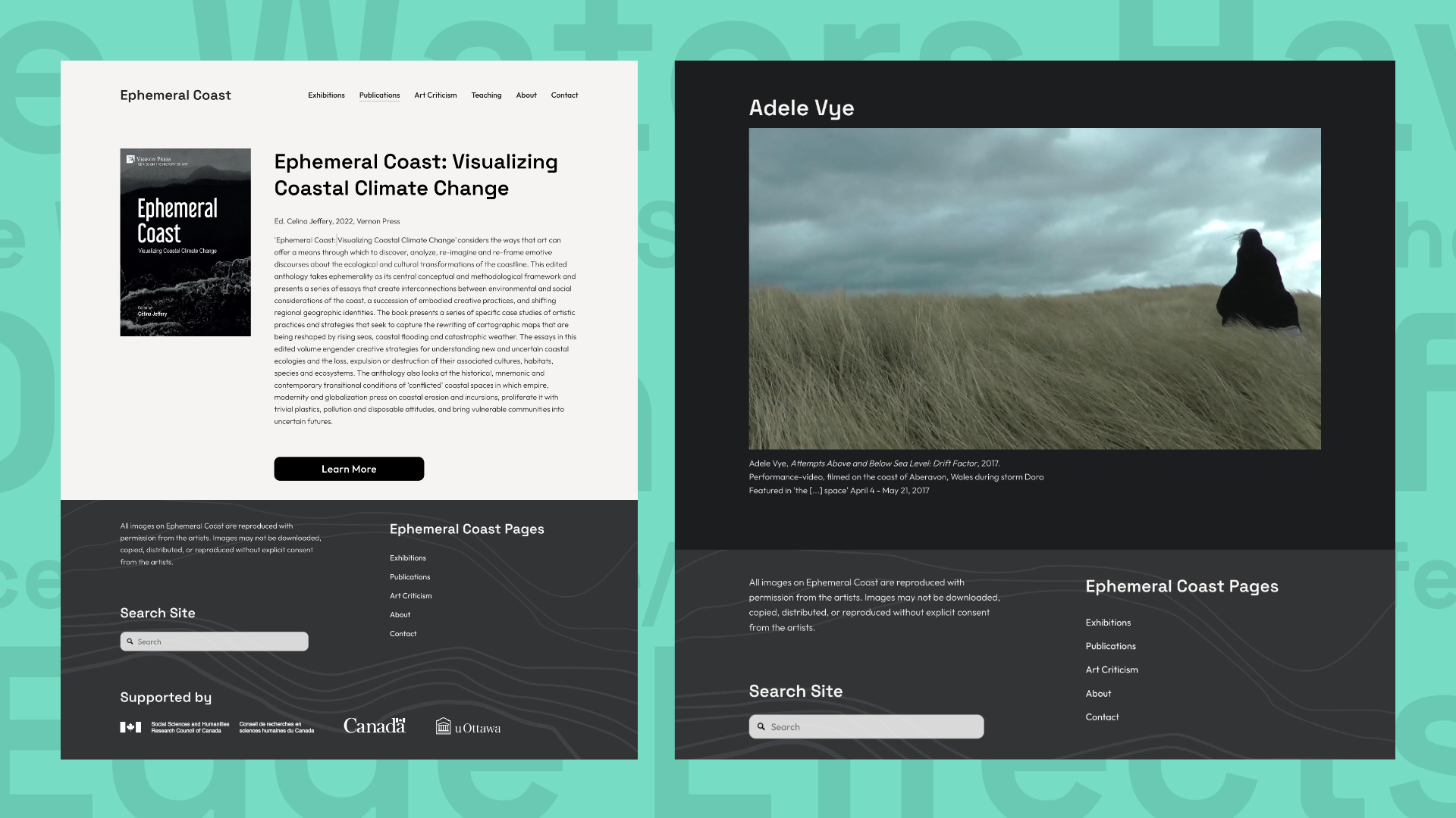 Collage of different visual branding componenets for the Flow Project