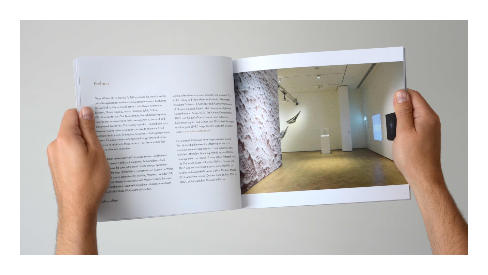 Collage of different visual branding componenets for the Flow Project